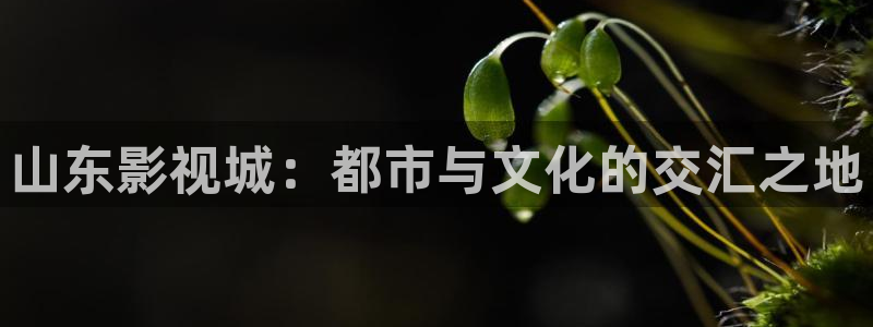 神马影院第九午夜影院：山东影视城：都市与文化的交汇之地