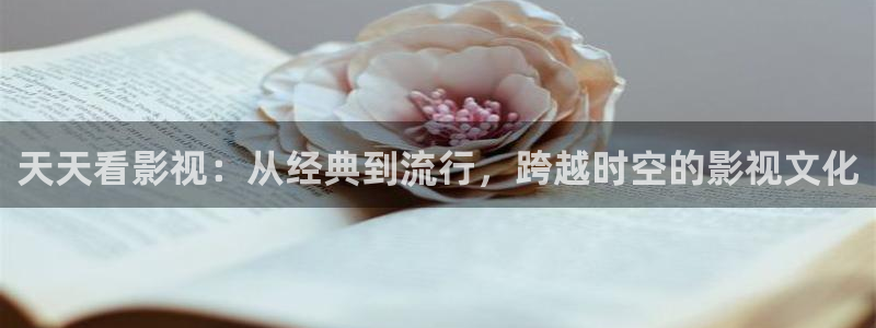韩国午夜影片