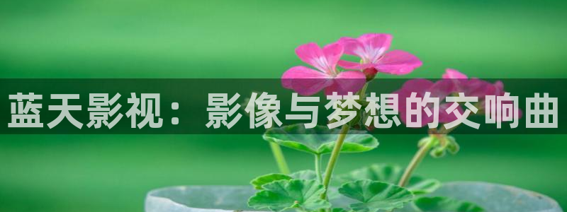 成年人午夜电影影院：蓝天影视：影像与梦想的交响曲