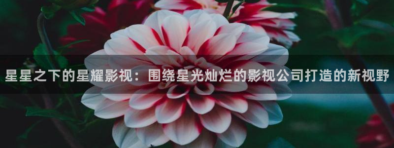 午夜电影网影院：星星之下的星耀影视：围绕星光灿烂的影视公司打造的新视野