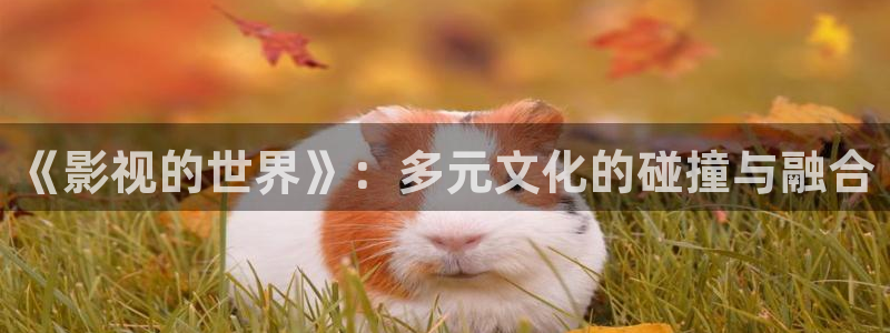 老可机午夜影院